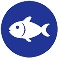 Pescado Pescado