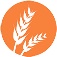 Gluten Gluten
